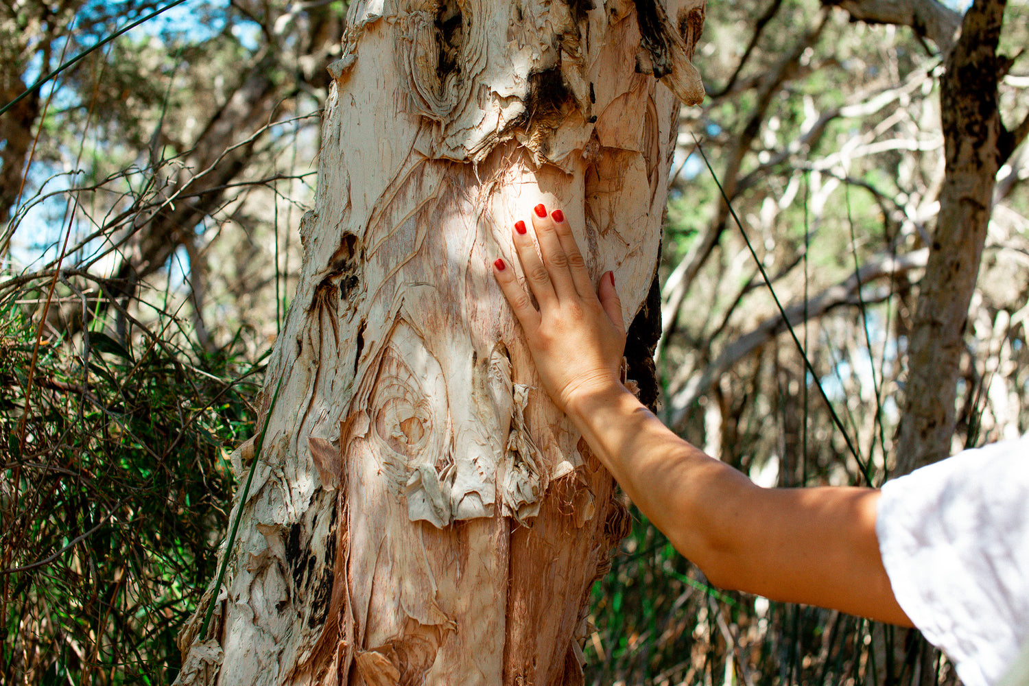 IMMUNOS: Boost Your Immune System with Nature’s Finest Antiviral and Antimicrobial Herbs