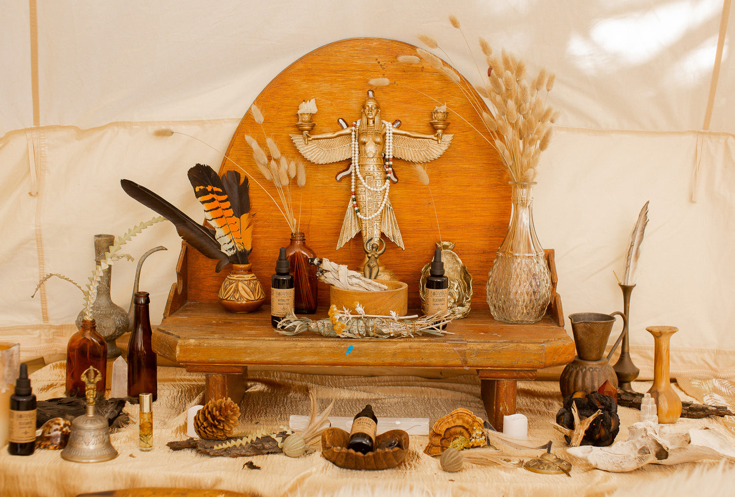 Discover Our Majik Box Sets: How to Choose the One That’s Right for You