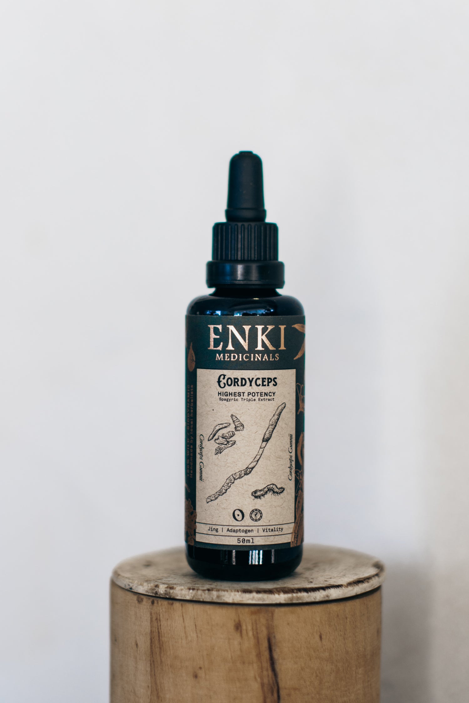 Cordyceps | Enki Apothecary