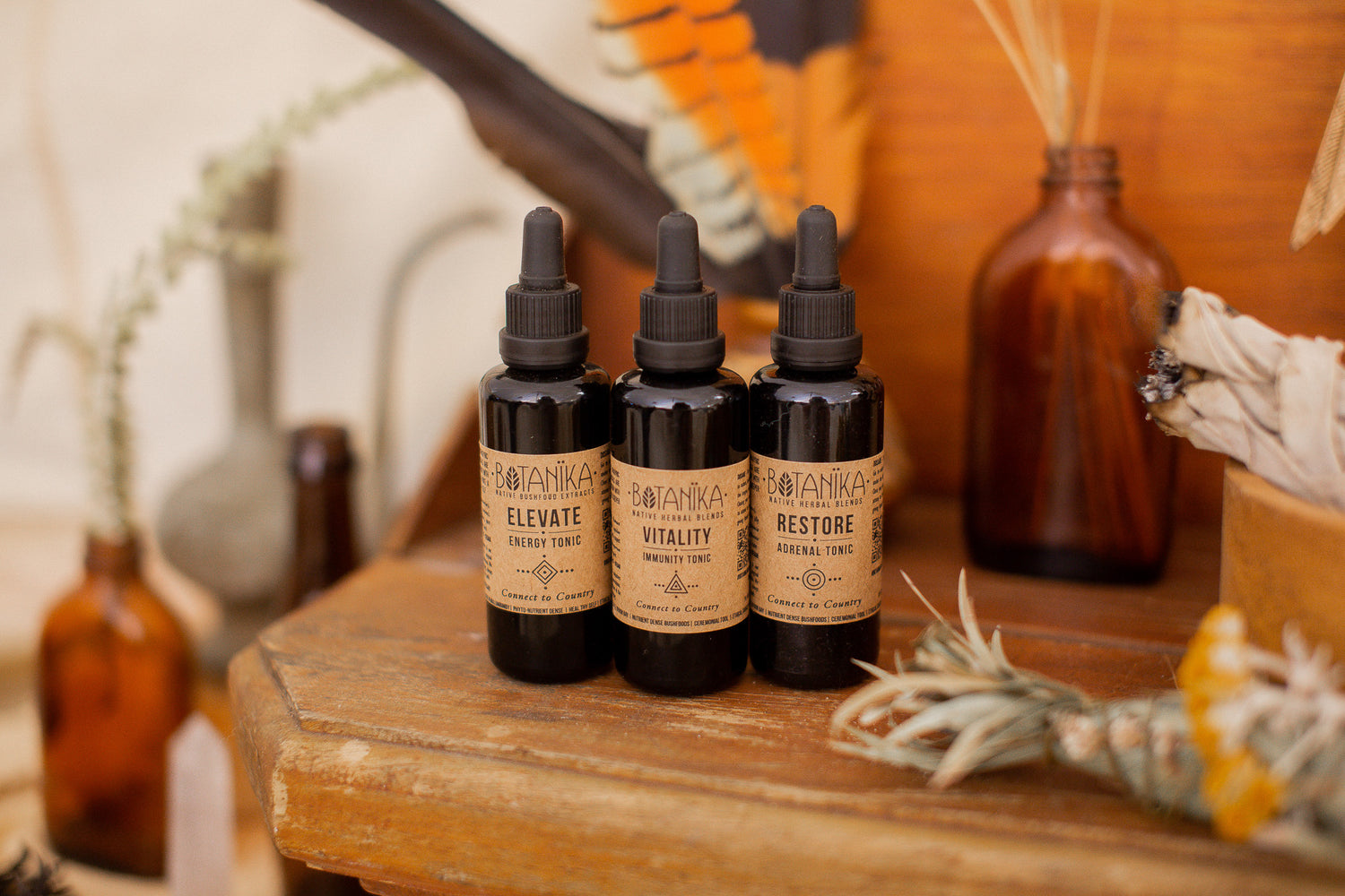 Vitality Immunity Tonic | Botanika Herbals