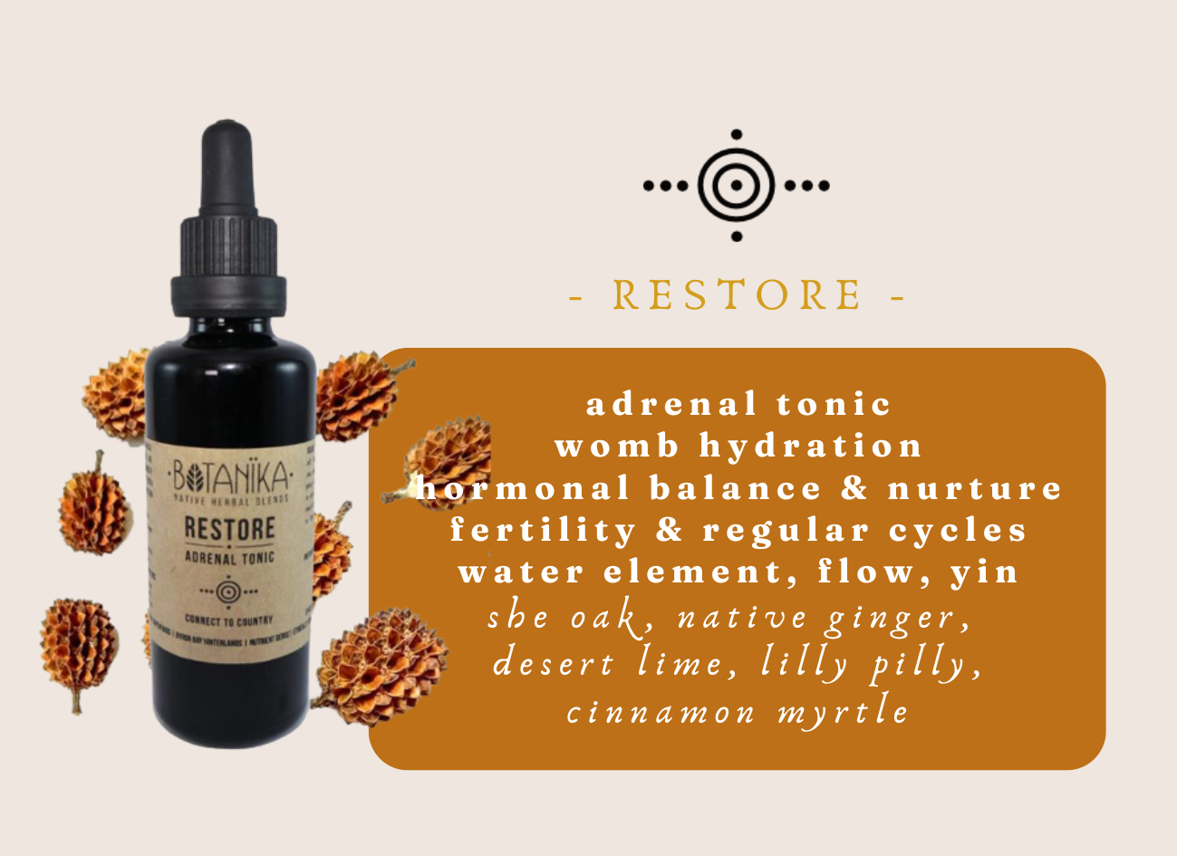 RESTORE Adrenal Tonic | Botanika Herbals