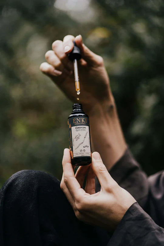 Cordyceps | Enki Apothecary