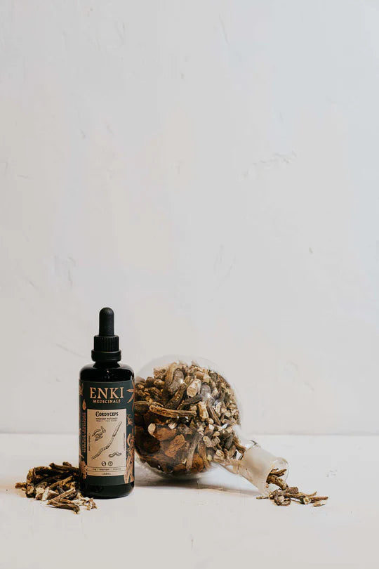 Cordyceps | Enki Apothecary