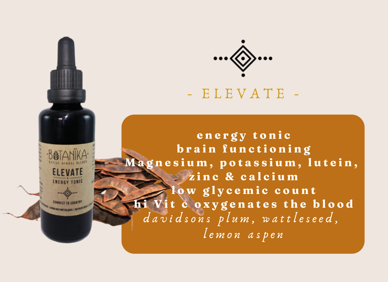 ELEVATE | Energy & Brain Functioning Tonic