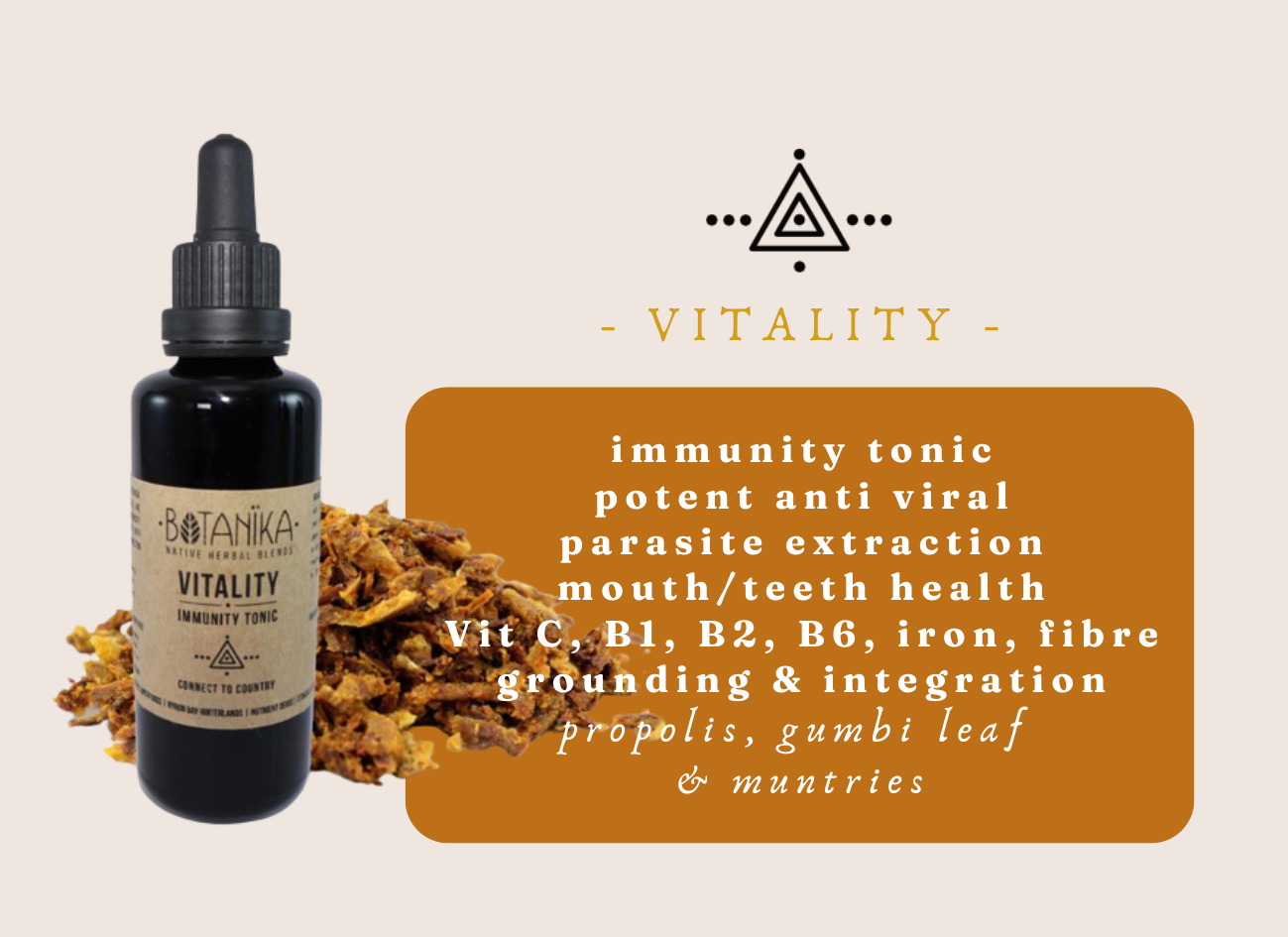 Vitality Immunity Tonic | Botanika Herbals